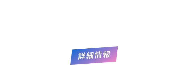 詳細情報